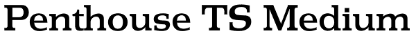 Penthouse TS Medium Font