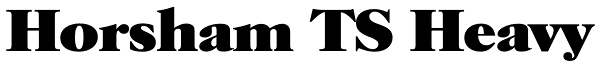 Horsham TS Heavy Font