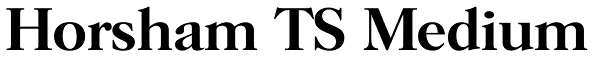 Horsham TS Medium Font