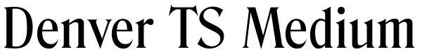 Denver TS Medium Font