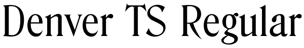 Denver TS Regular Font