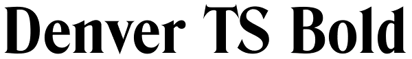 Denver TS Bold Font