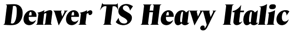 Denver TS Heavy Italic Font