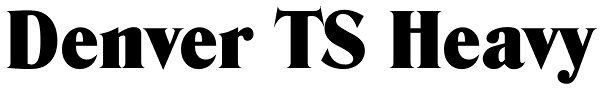 Denver TS Heavy Font