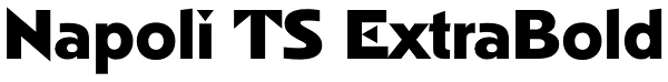 Napoli TS ExtraBold Font