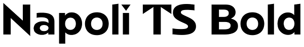 Napoli TS Bold Font