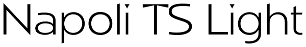 Napoli TS Light Font