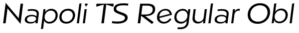 Napoli TS Regular Obl Font