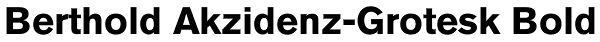 Berthold Akzidenz-Grotesk Bold Font