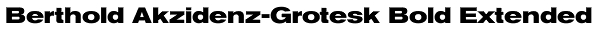 Berthold Akzidenz-Grotesk Bold Extended Font