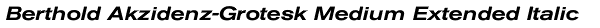 Berthold Akzidenz-Grotesk Medium Extended Italic Font