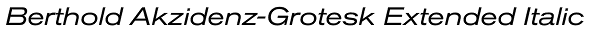 Berthold Akzidenz-Grotesk Extended Italic Font