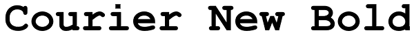 Courier New Bold Font