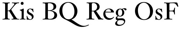 Kis BQ Reg OsF Font