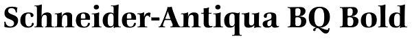 Schneider-Antiqua BQ Bold Font