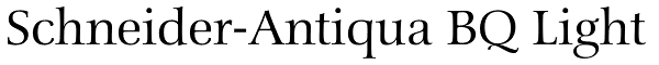 Schneider-Antiqua BQ Light Font