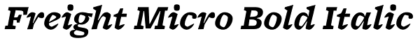Freight Micro Bold Italic Font