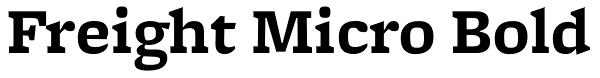 Freight Micro Bold Font