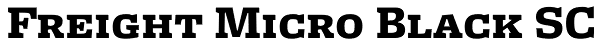 Freight Micro Black SC Font