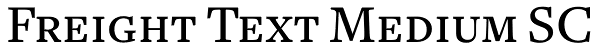 Freight Text Medium SC Font