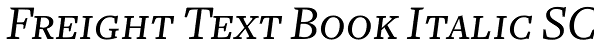 Freight Text Book Italic SC Font