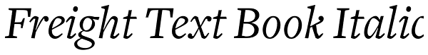 Freight Text Book Italic Font