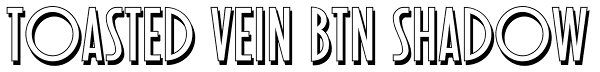 Toasted Vein BTN Shadow Font
