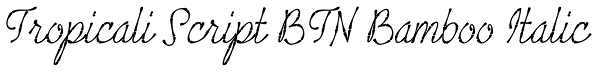 Tropicali Script BTN Bamboo Italic Font
