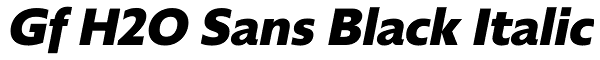 Gf H2O Sans Black Italic Font
