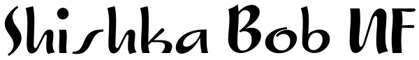 Shishka Bob NF Font