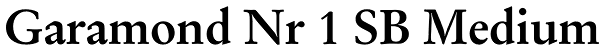 Garamond Nr 1 SB Medium Font