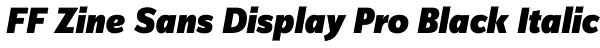 FF Zine Sans Display Pro Black Italic Font
