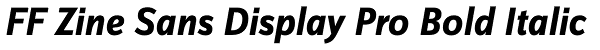 FF Zine Sans Display Pro Bold Italic Font