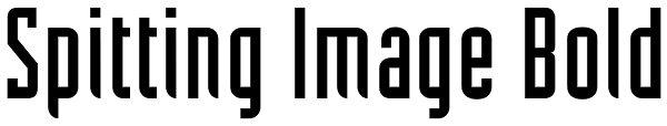 Spitting Image Bold Font