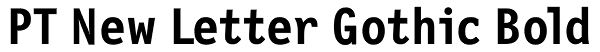 PT New Letter Gothic Bold Font