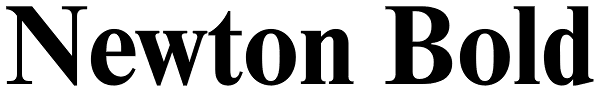 Newton Bold Font