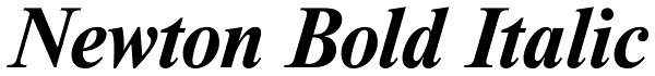 Newton Bold Italic Font