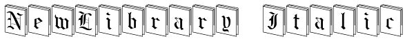 NewLibrary Italic Font