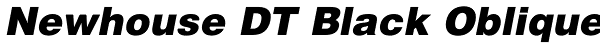 Newhouse DT Black Oblique Font