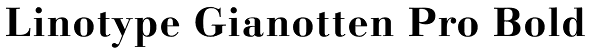 Linotype Gianotten Pro Bold Font