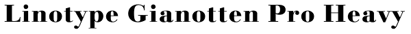 Linotype Gianotten Pro Heavy Font
