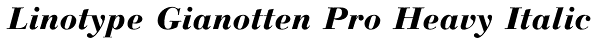 Linotype Gianotten Pro Heavy Italic Font