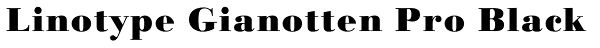 Linotype Gianotten Pro Black Font