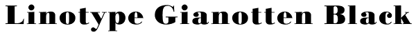 Linotype Gianotten Black Font