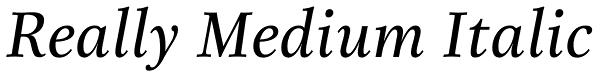 Really Medium Italic Font
