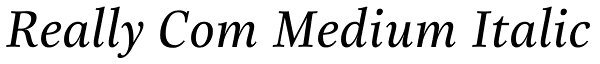 Really Com Medium Italic Font