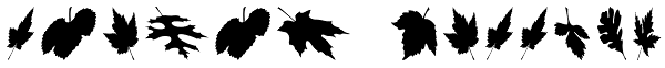 Leaves Falling Font