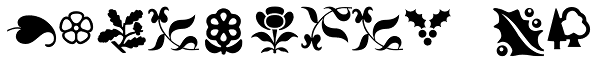 Botanical MT Font