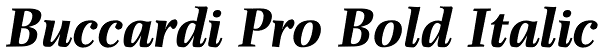 Buccardi Pro Bold Italic Font