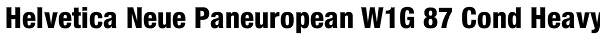 Helvetica Neue Paneuropean W1G 87 Cond Heavy Font